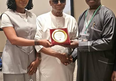 Aeronautical Engineers’ Institute confers gold award on United Nigeria Airlines’ boss…Cites safety culture, rapid growth, capacity building…Says Okonkwo steered airline through covid turbulence